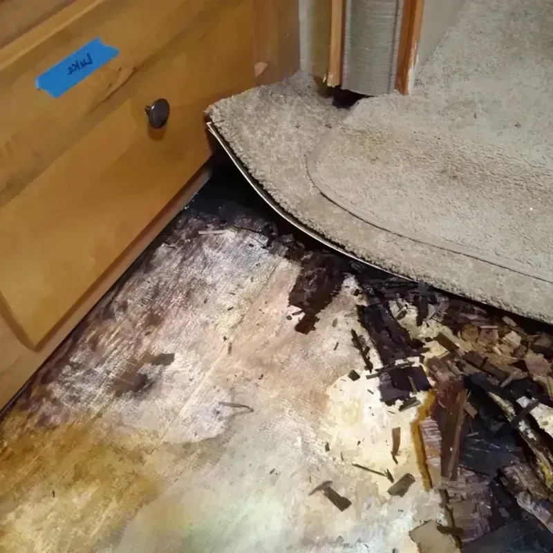 Best Wood Floor Water Damage Service in Norwood, NJ